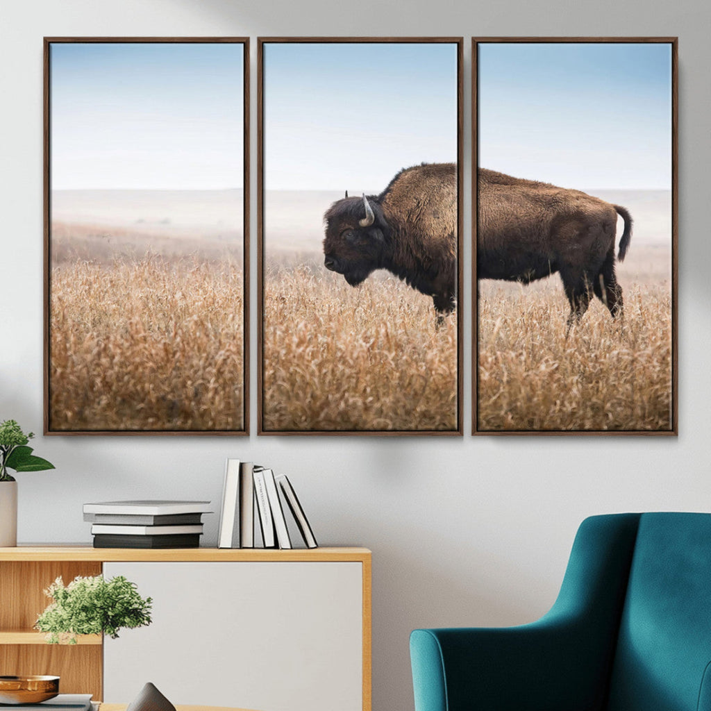 Wild Bison Wall Art | Framed Prairie Landscape Canvas