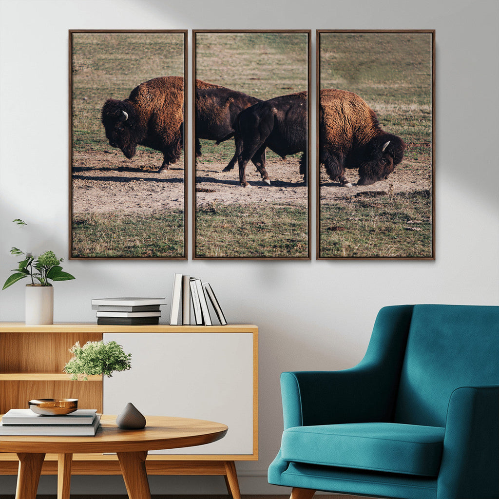 Bison Wall Art Canvas Print, Framed Western Wildlife Modern Ranch