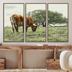 Texas Longhorn Wall Art Canvas Print, Rustic Western Ranch