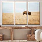 Buffalo Wall Art Canvas Print, Framed Western Wildlife Rustic Prairie Scene