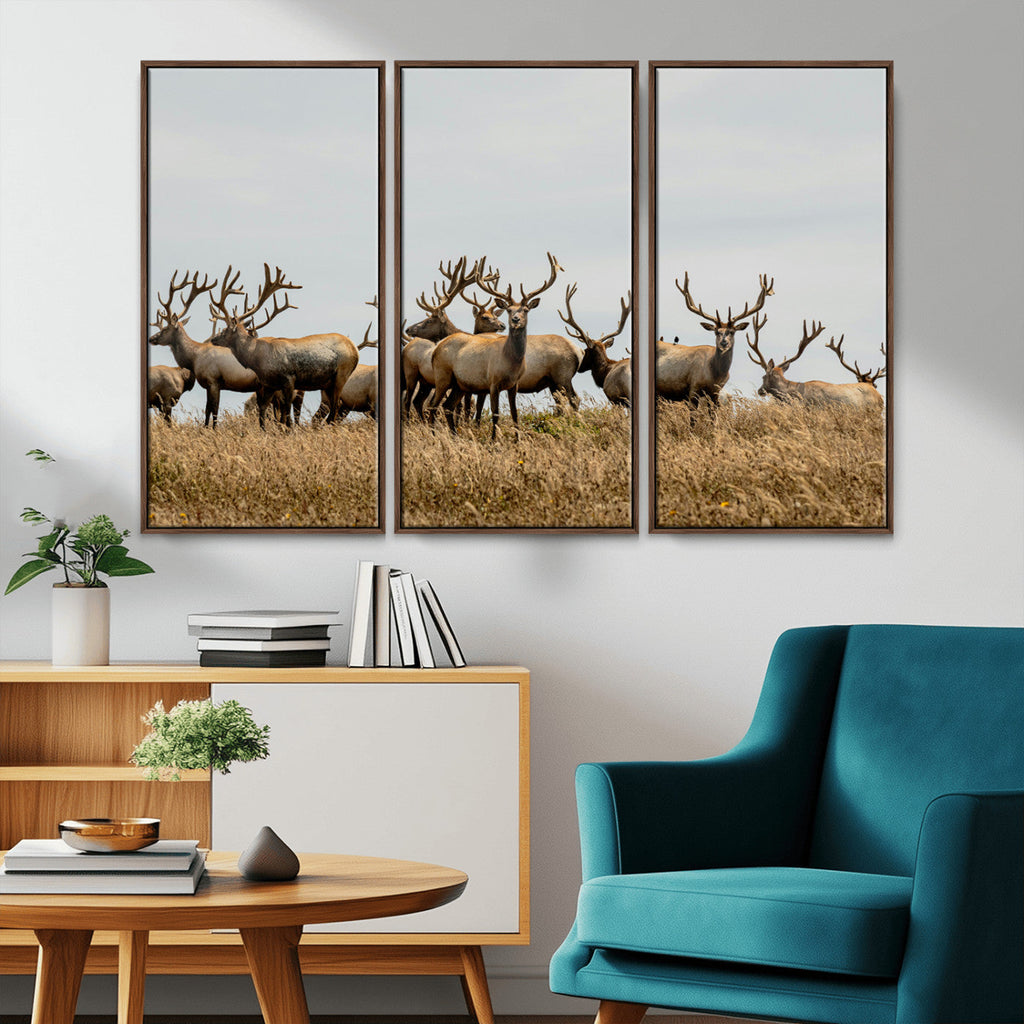 Elk Herd Wall Art Canvas Print, Framed Wildlife Photography Art, Majestic Antlers Rustic Wildlife Decor