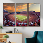 Dooley Stadium Wall Art, Sports Arena Canvas Print, Dooley Field, Framed and Ready to Hang