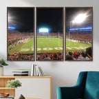 Dooley Stadium Wall Art, Sports Arena Panoramic Canvas