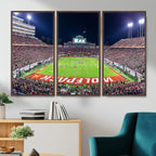 Wolfpack Football Team Print, Raleigh Carter-Finley Stadium