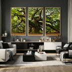 Angel Oak Tree Wall Art Canvas Print | Forest Tree Nature Photography Print