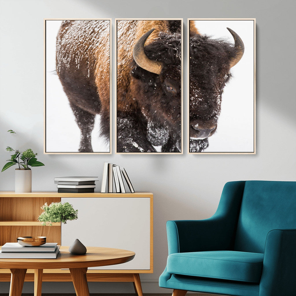 Bison Wall Art Canvas Print For Farmhouse, Wild Animal Wall Art