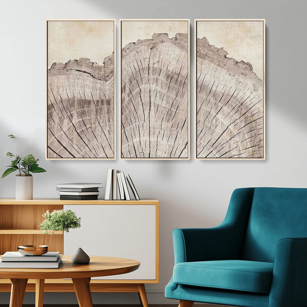 Tree Ring Wall Art Triptych, Rustic Wood Ring Canvas Print