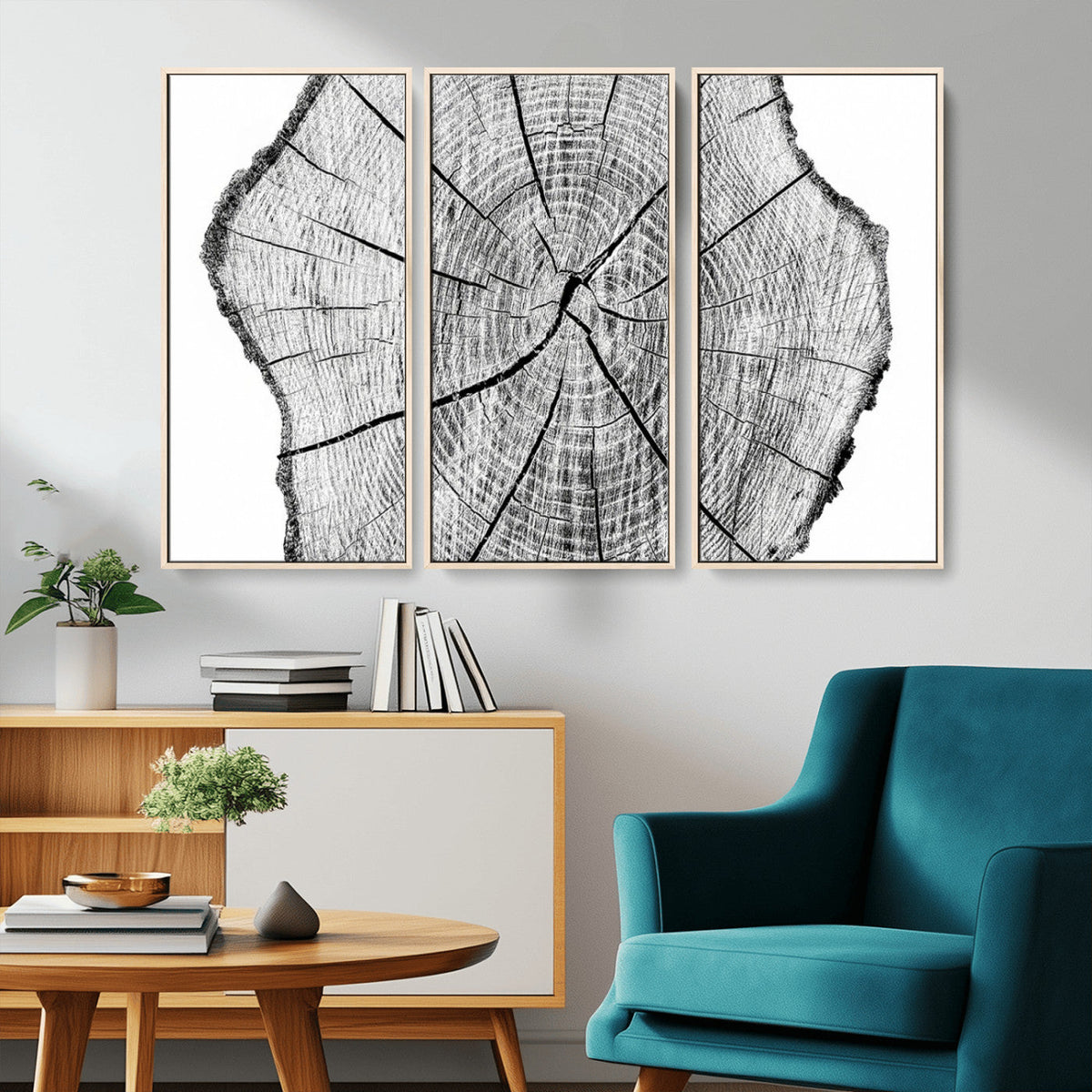 Rustic Tree Ring Wall Art Canvas Print, Framed and Ready to Hang