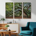 Historic Tree Wall Art | Framed Mossy Branch Canvas Artwork