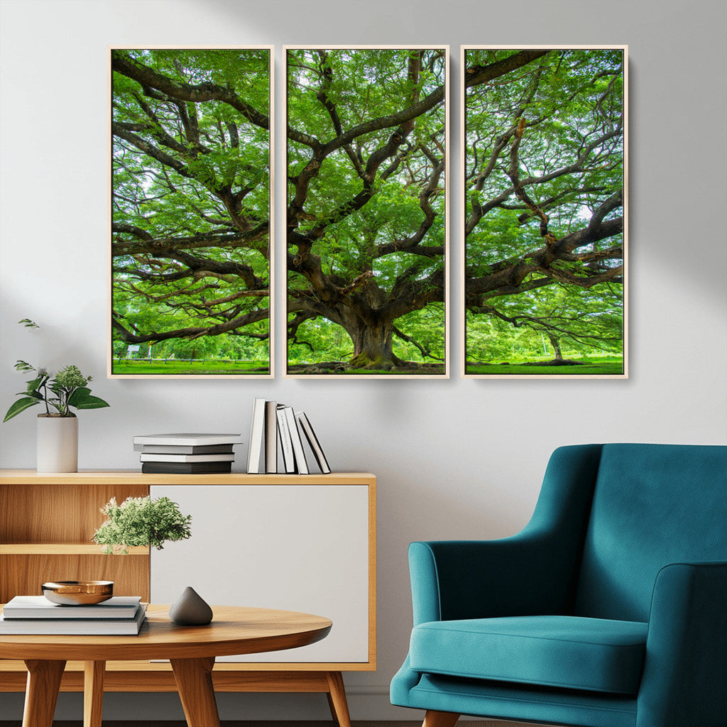 Ancient Tree Wall Art Canvas Print, Framed Sprawling Branches