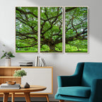 Ancient Tree Wall Art Canvas Print, Framed Sprawling Branches