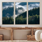 Misty Forest Wall Art Canvas Print | Pine Hills with Foggy Trees