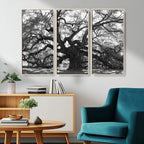 Ancient Oak Wall Art Canvas Print | Gnarled Tree with Twisted Branches