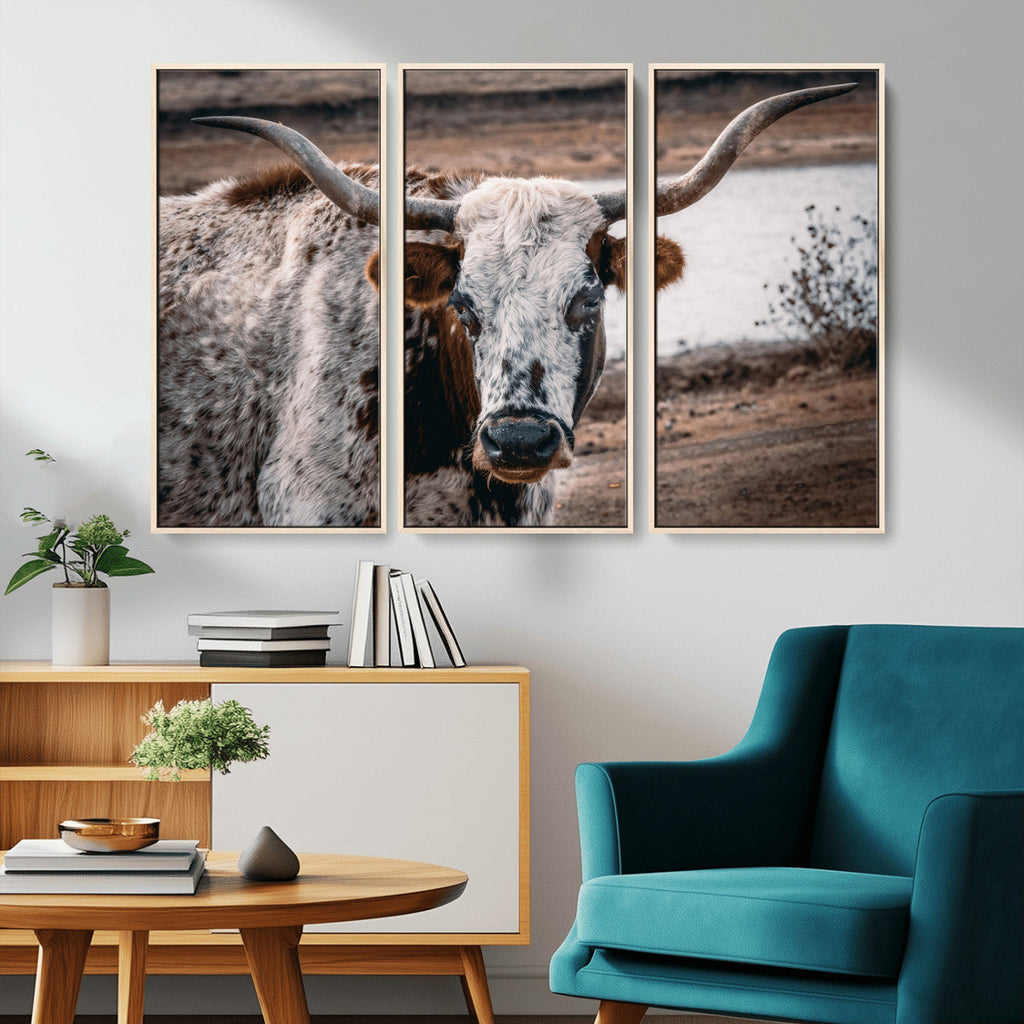 Texas Longhorn Wall Art Canvas Print | Framed Brown and White Spotted Longhorn