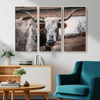 Texas Longhorn Wall Art Canvas Print | Framed Brown and White Spotted Longhorn