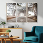 Cypress Tunnel Wall Art | Framed Misty Road Canvas Artwork