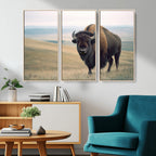 Bison Wall Art Canvas Print, Framed American Buffalo Rustic Western Artwork