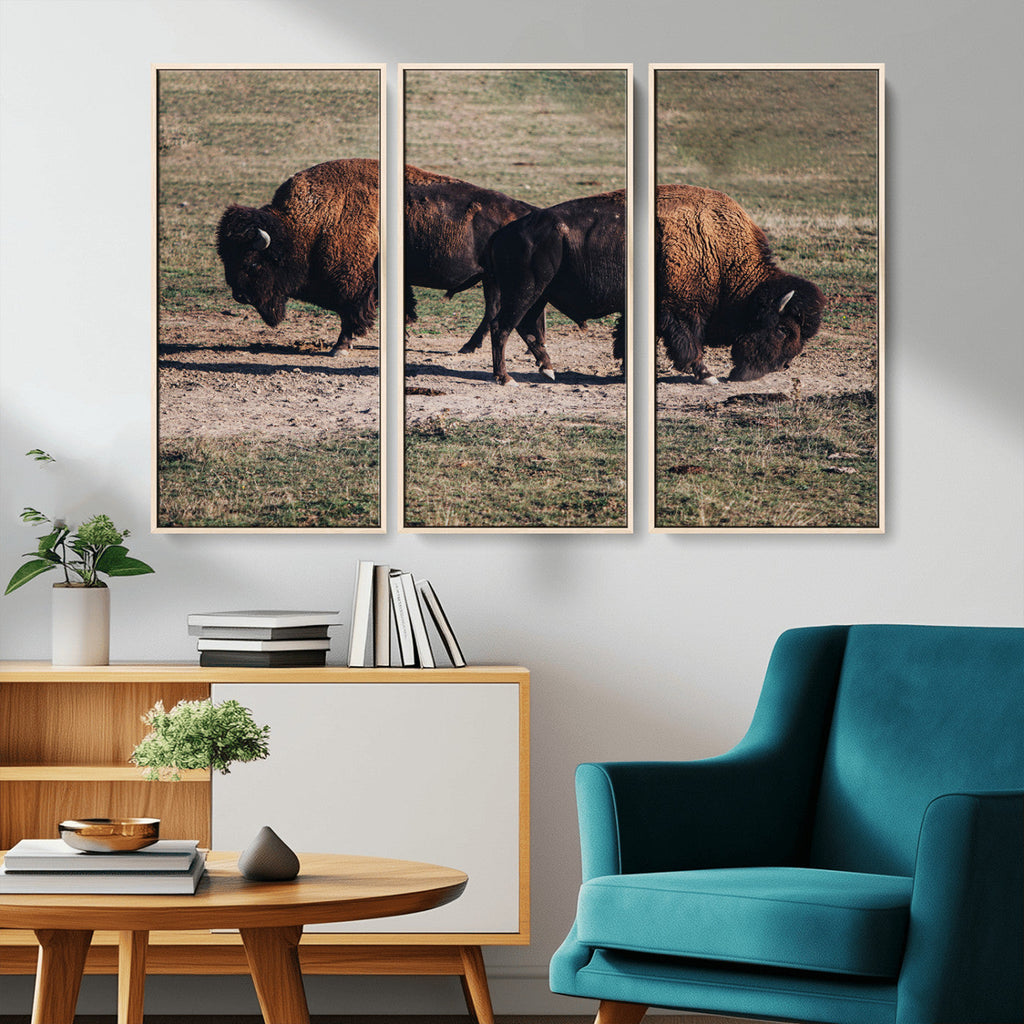 Bison Wall Art Canvas Print, Framed Western Wildlife Modern Ranch