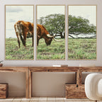 Texas Longhorn Wall Art Canvas Print, Rustic Western Ranch