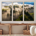 Tranquil Forest Scene Wall Art Canvas Print, Framed Moody Sunbeam Through Trees
