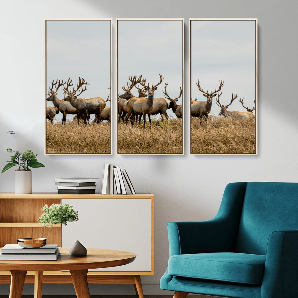 Elk Herd Wall Art Canvas Print, Framed Wildlife Photography Art, Majestic Antlers Rustic Wildlife Decor