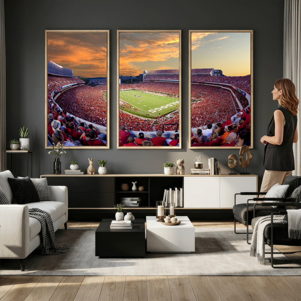 Dooley Stadium Wall Art, Sports Arena Canvas Print, Dooley Field, Framed and Ready to Hang