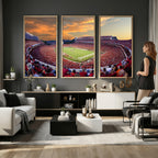Dooley Stadium Wall Art, Sports Arena Canvas Print, Dooley Field, Framed and Ready to Hang