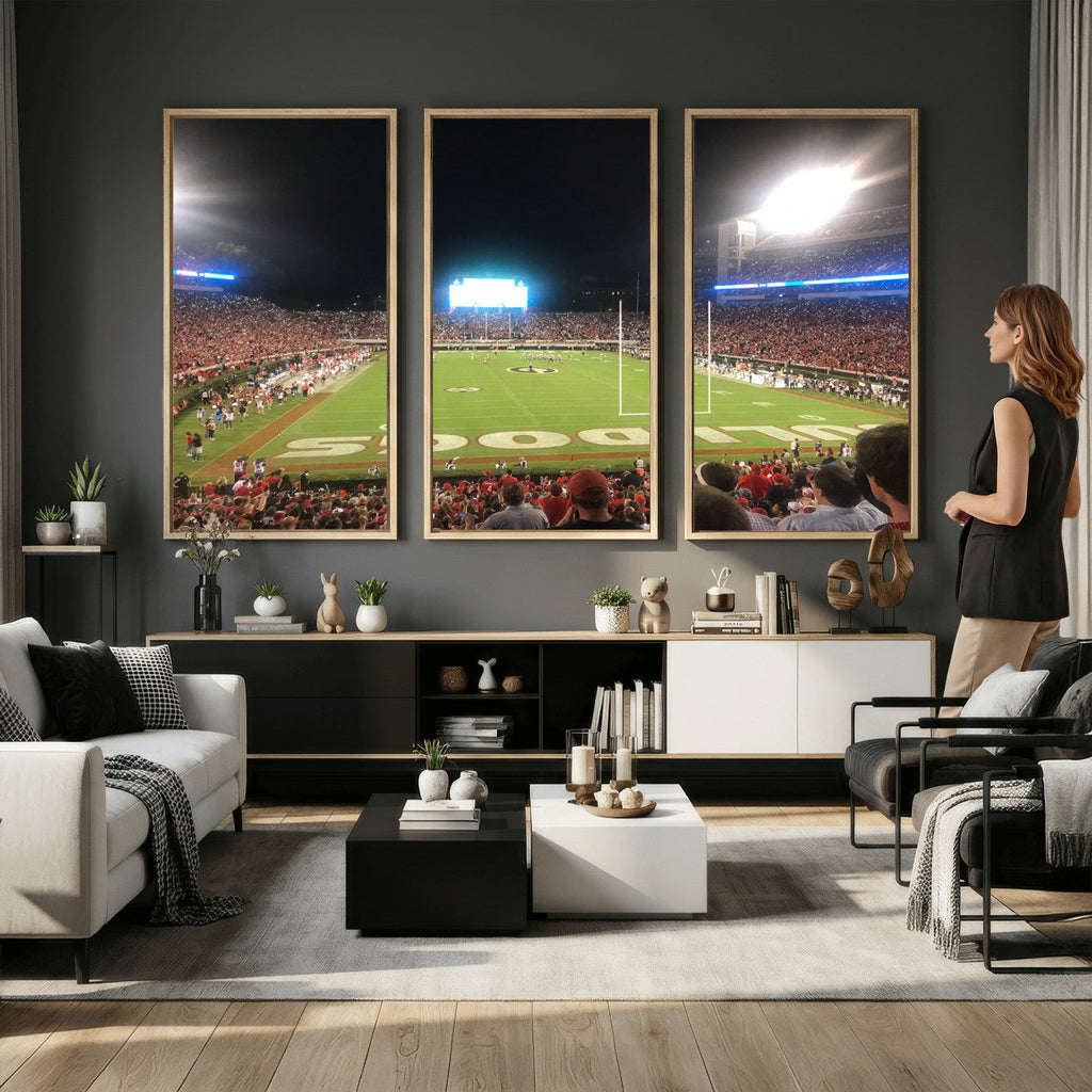 Dooley Stadium Wall Art, Sports Arena Panoramic Canvas