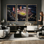 Oklahoma Memorial Stadium, Gaylord Memorial Stadium Wall Art