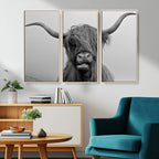 Texas Cow Wall Art Canvas, Texas Longhorn Cattle Canvas Print