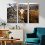 Framed Big Cow Animal Wall Art Canvas Print