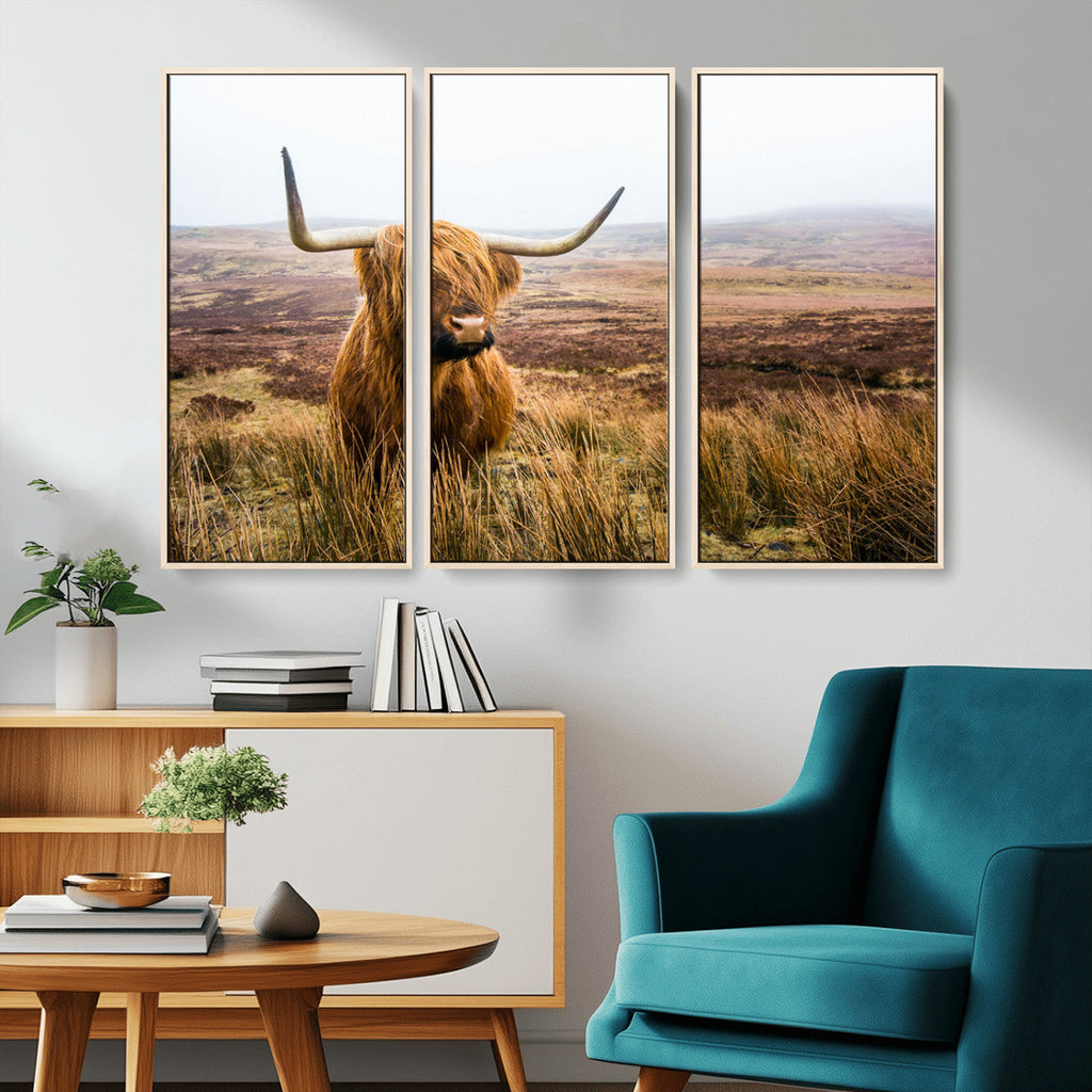 Scottish Highland Cow Canvas Wall Art, Rustic Farmhouse Decor