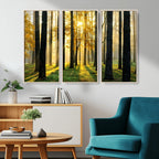 Sunlit Forest Wall Art Canvas Print, Large Framed Woodland Scene with Golden Light