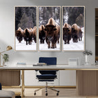 Bison Wall Art Canvas Print, Bison Herd Canvas Wall Art