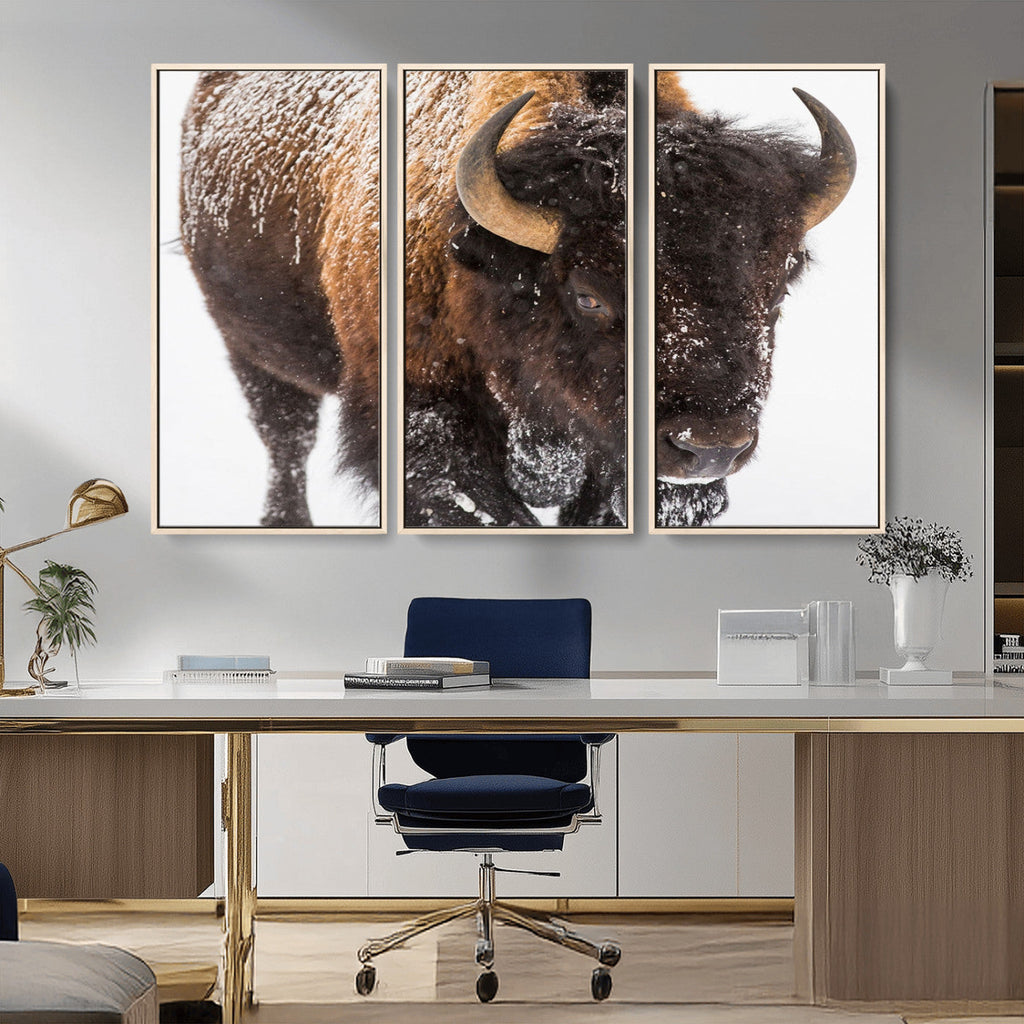 Bison Wall Art Canvas Print For Farmhouse, Wild Animal Wall Art