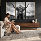 Scottish Cow Wall Art Canvas Print, Longhorn Wall Art