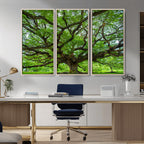 Ancient Tree Wall Art Canvas Print, Framed Sprawling Branches