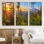 Forest Sunset Wall Art Canvas Print | Green Pines in Golden Light