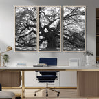 Ancient Oak Wall Art Canvas Print | Gnarled Tree with Twisted Branches