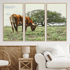 Texas Longhorn Wall Art Canvas Print, Rustic Western Ranch