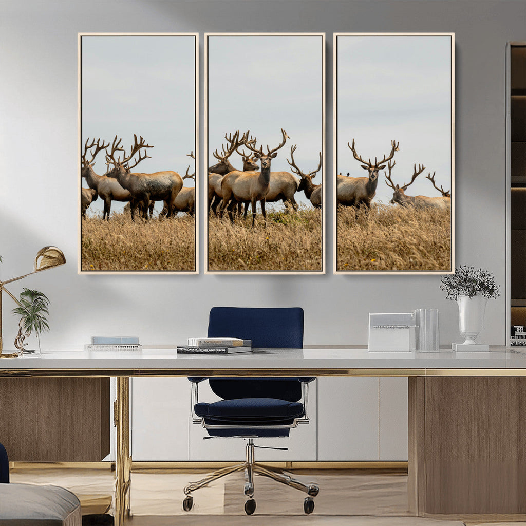 Elk Herd Wall Art Canvas Print, Framed Wildlife Photography Art, Majestic Antlers Rustic Wildlife Decor
