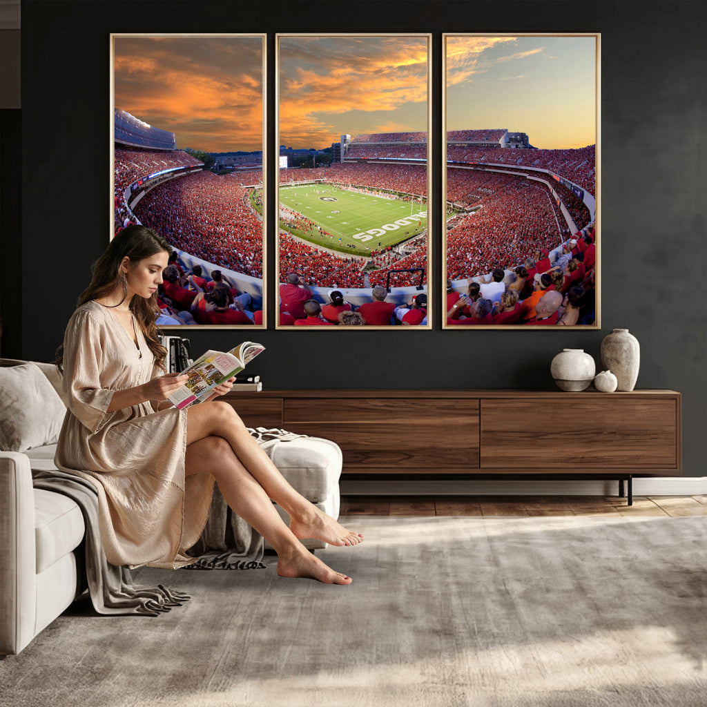Dooley Stadium Wall Art, Sports Arena Canvas Print, Dooley Field, Framed and Ready to Hang