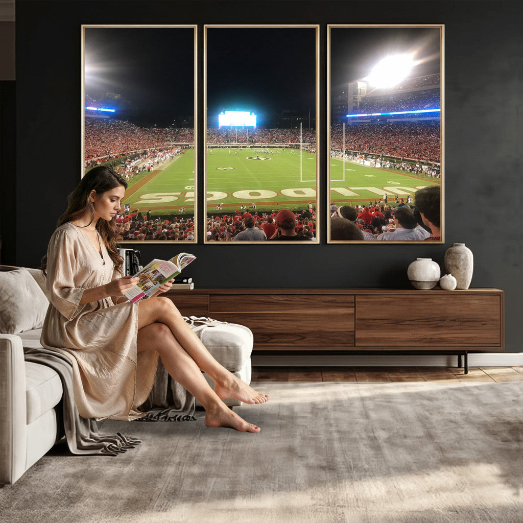 Dooley Stadium Wall Art, Sports Arena Panoramic Canvas