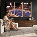 Boise State Broncos Albertsons Stadium Wall Art Canvas Print