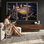 Oklahoma Memorial Stadium, Gaylord Memorial Stadium Wall Art