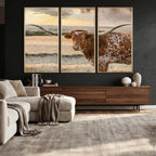 Texas Longhorn Wall Art Canvas Print, Western Ranch Bull Photography