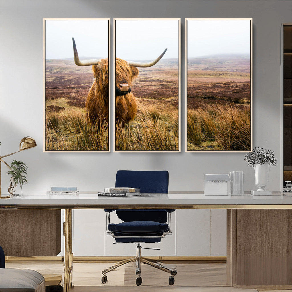 Scottish Highland Cow Canvas Wall Art, Rustic Farmhouse Decor