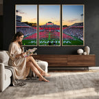 NC State Wolfpack Football Team Print Wall Art, Raleigh