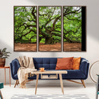 Majestic Oak Tree Wall Art Canvas Print | Ancient Branches