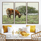 Texas Longhorn Wall Art Canvas Print, Rustic Western Ranch